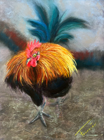 “Kauai Rooster” Original Pastel in Board 16”x13”