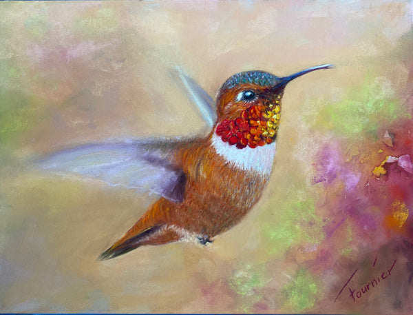 In Flight- Collection- Pastel on Board 15"x18"