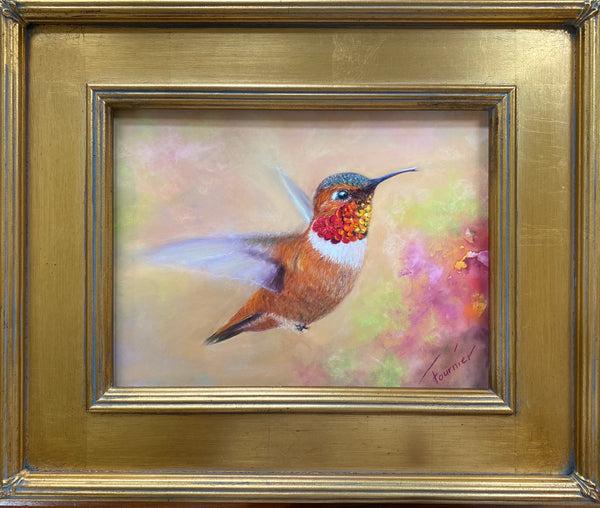 “Rufous” Pastel on Board 15"x18"